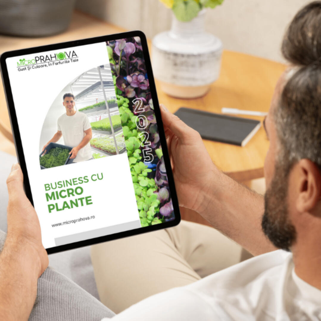 Business cu Microplante
